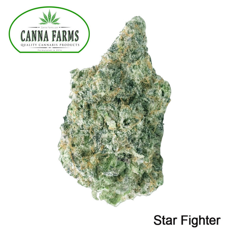 Star Fighter Flower - Sativa