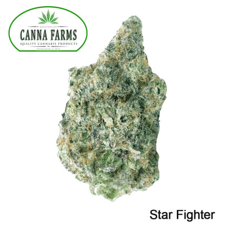 Star Fighter Flower - Sativa