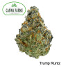 Trump Runtz Flower - Indica