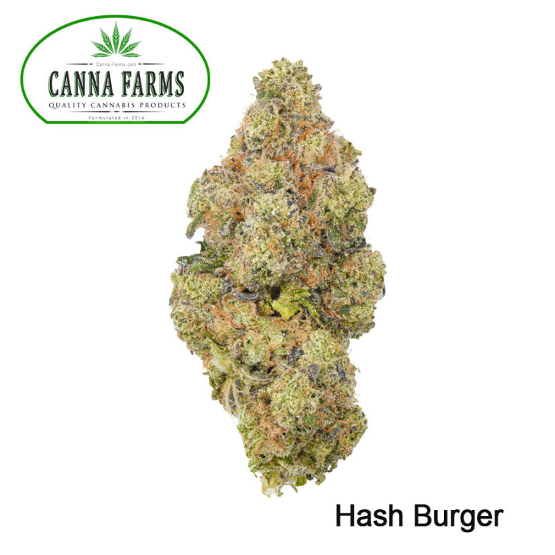 Hash Burger Flower - Hybrid