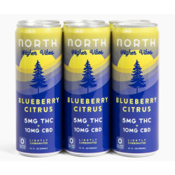 North  Blueberry Citrus THC + CBD Seltzer