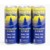 North  Blueberry Citrus THC + CBD Seltzer
