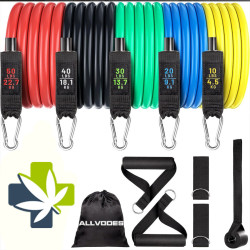 Resistance Band Set - Physical Therapy