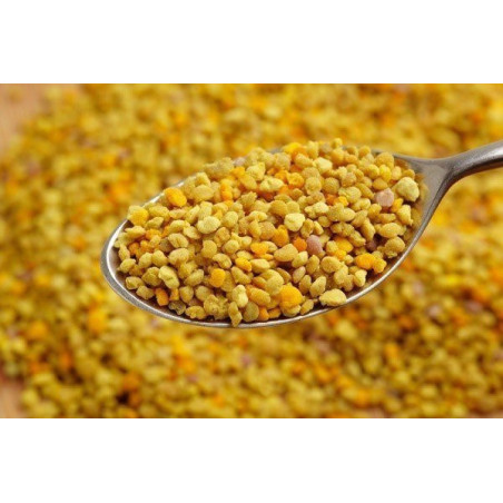 Bee Pollen Pellets of pollen collected by honeybees