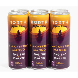 North Blackberry Mango THC + CBD Seltzer