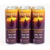 North Blackberry Mango THC + CBD Seltzer